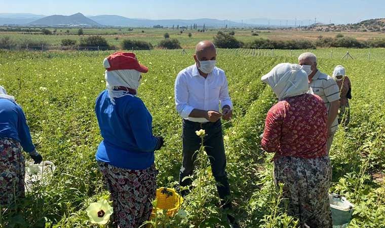 CHP’li Polat: Köylülerimiz alın terinin karşılığını alamıyor!