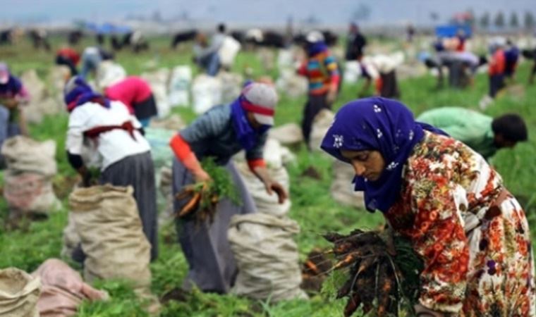 “Mevsimlik tarım işçileri ölümle pençeleşiyor”