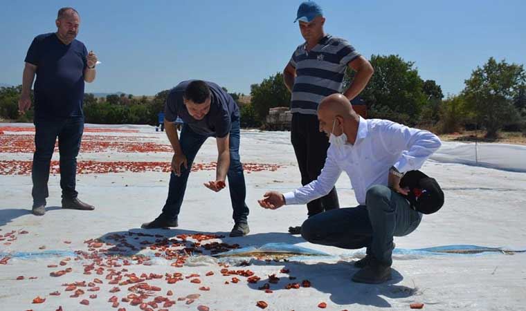 'Çiftçi ne kadar zarar edeceğini hesaplıyor!'