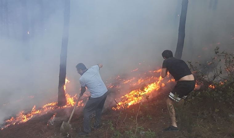 Maltepe'de orman yangını