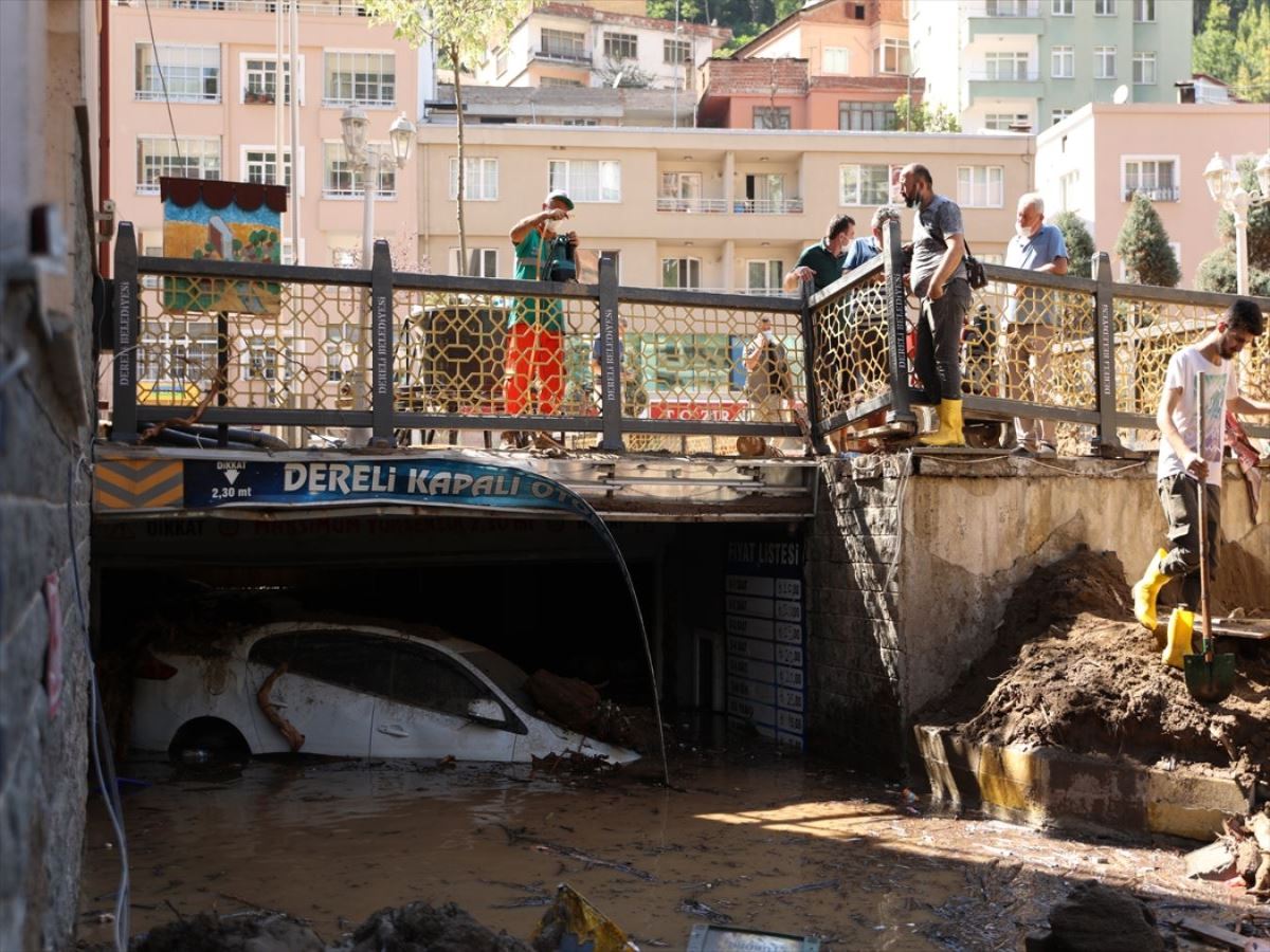 Dereli ilçesinde ev ve iş yerlerinin yıkımları sürüyor