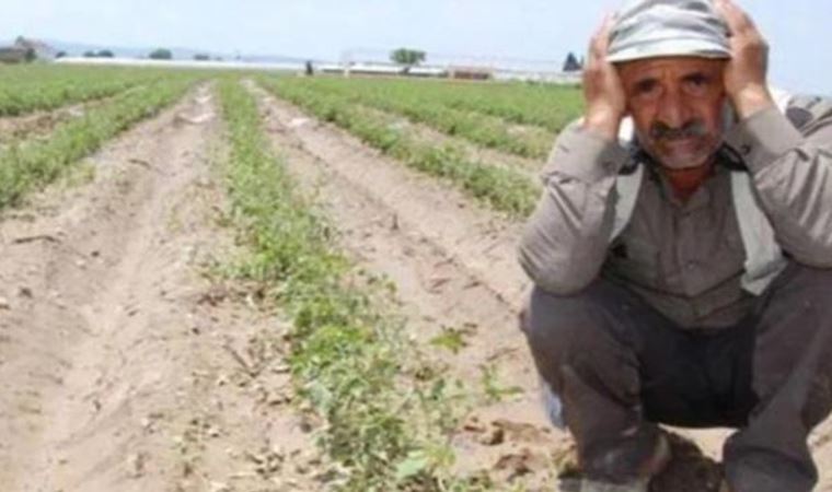 CHP Gaziantep Milletvekili İrfan Kaplan: 'Keşke ithal sevdası yerine; üretici sevdalısı olsalar!'