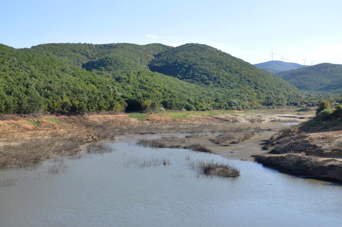 Tekirdağ’da gölet kurudu, kalan su yaban hayvanları ile balıklara bırakıldı