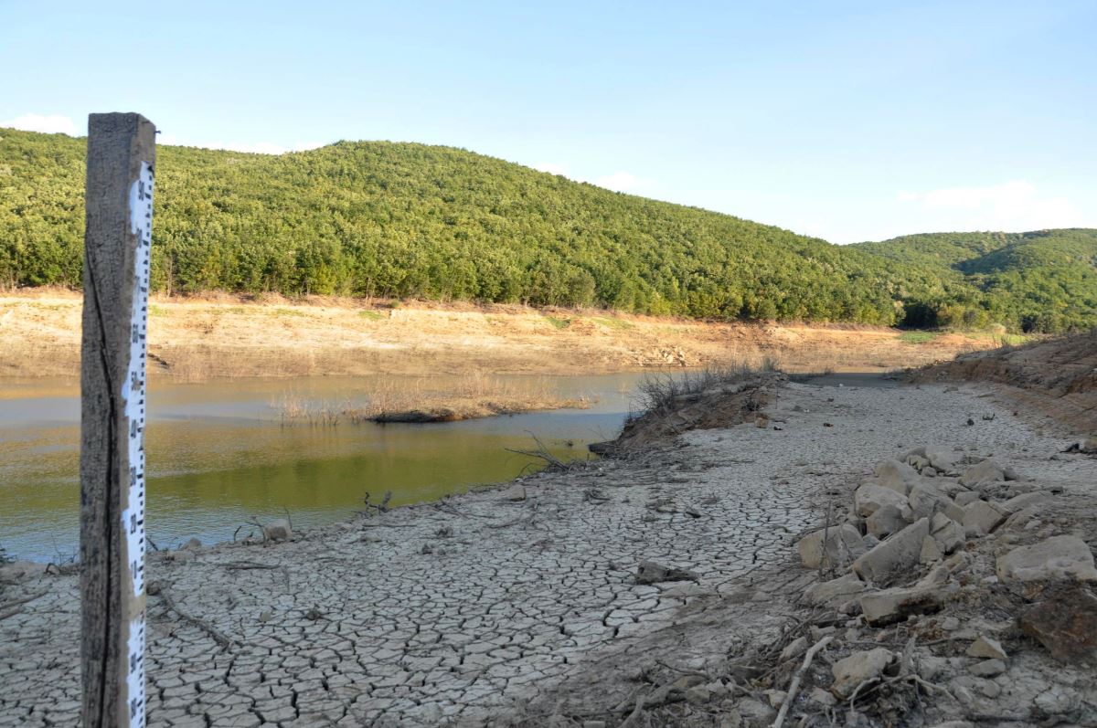 Tekirdağ’da gölet kurudu, kalan su yaban hayvanları ile balıklara bırakıldı