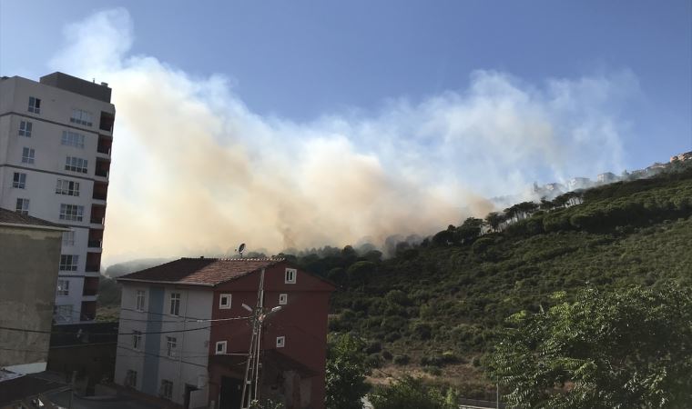 Maltepe'de ormanlık alanda yangın