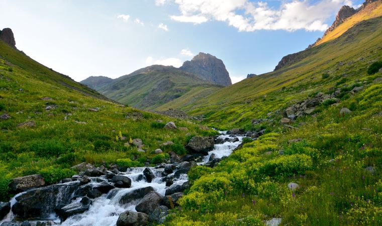 Ekoloji Birliği, Karadeniz’deki tahribatı raporladı