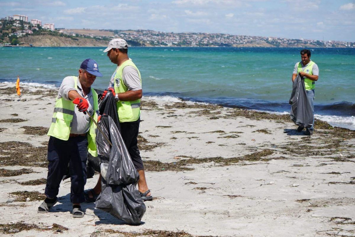 Tekirdağ'ın tatil beldesinde 500 ton çöp toplandı