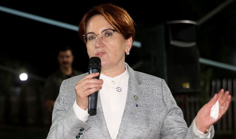 Meral Akşener, 