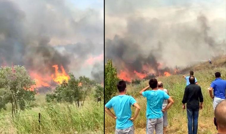 100 dönüm zeytinlik alan cayır cayır yandı