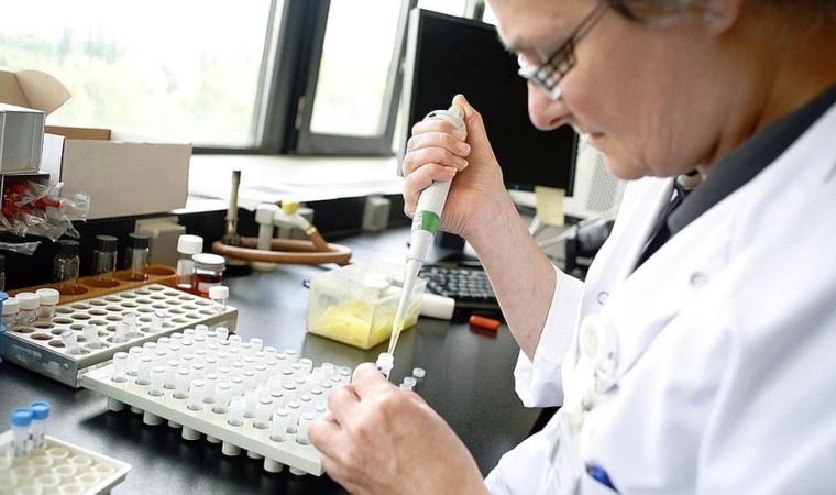 Süpermikrop: Antibiyotiklere dirençli bakteriler ‘koronavirüsten daha riskli olabilir’