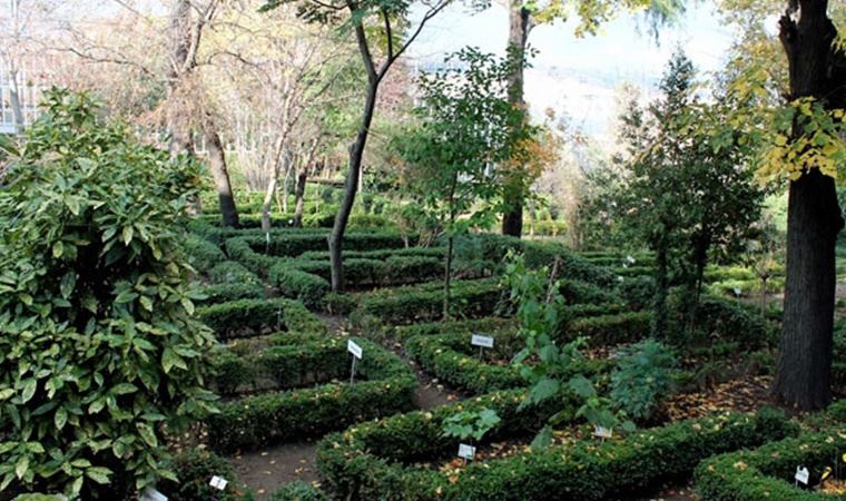 Diyanet'e her gün yeni bir arazi tahsis ediliyor