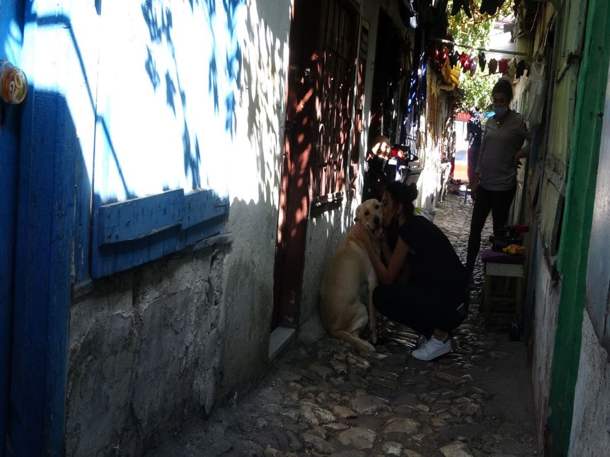 'Dünyanın en dar sokağı'nda köpekler için koruyucu ayakkabı üretiliyor