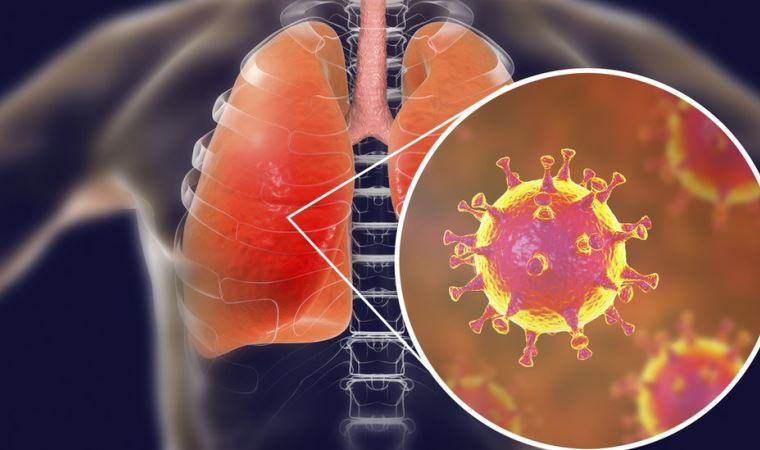 Hollandalı bilim insanlarına göre iyileşen Covid-19 hastalarında bir yıl içinde yeniden virüs görülebiliyor