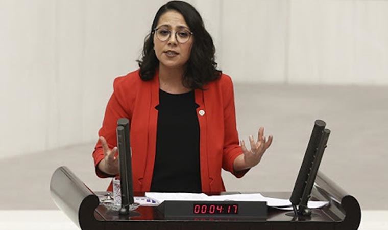 CHP'li Sera Kadıgil'den kadın sığınma evlerine yönelik vahim iddialar