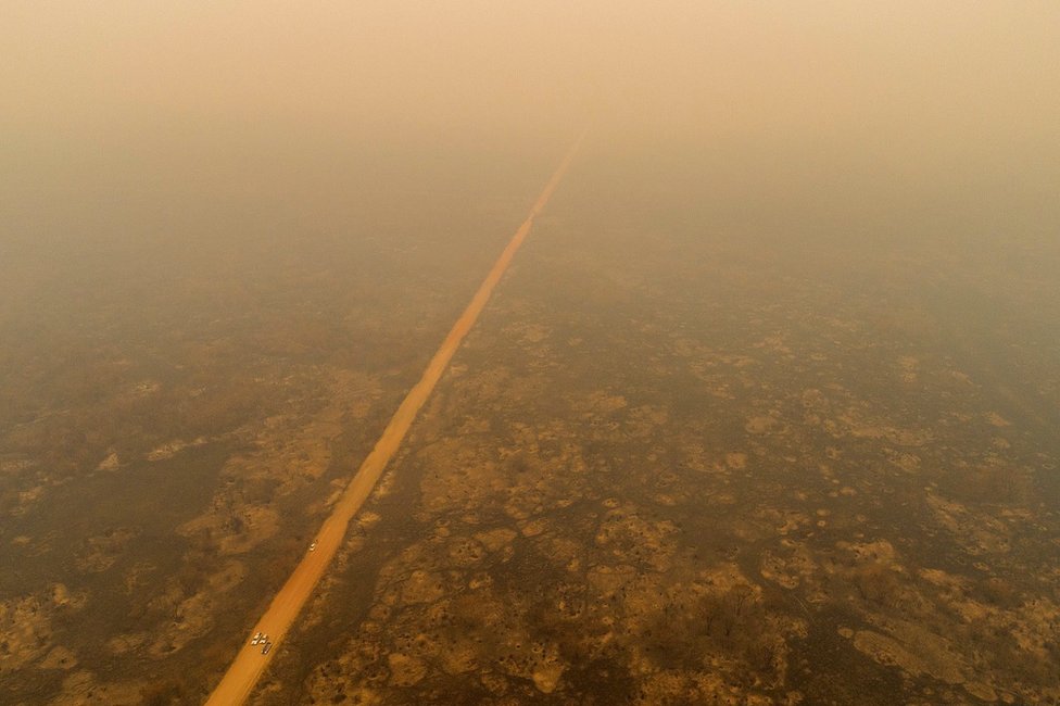 Fotoğraflarla: Brezilya'da tropikal sulak alanları kasıp kavuran yangınlar