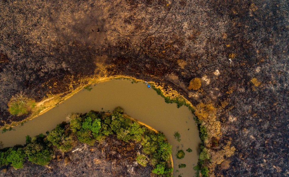 Fotoğraflarla: Brezilya'da tropikal sulak alanları kasıp kavuran yangınlar