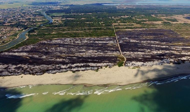 Samsun Kuş Cenneti imara mı açılıyor?