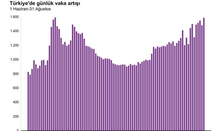 Türkiye'de normalleşme adımlarının ardından pandemi nasıl bir seyir izledi? (05.09.2020)