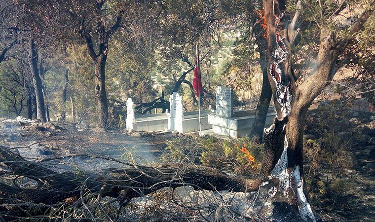 Antalya'daki orman yangınında sabotaj şüphesi