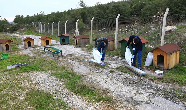 Yerleşim yerlerinden uzakta yaşayan canlılar için sıcak yuvalar kuruldu