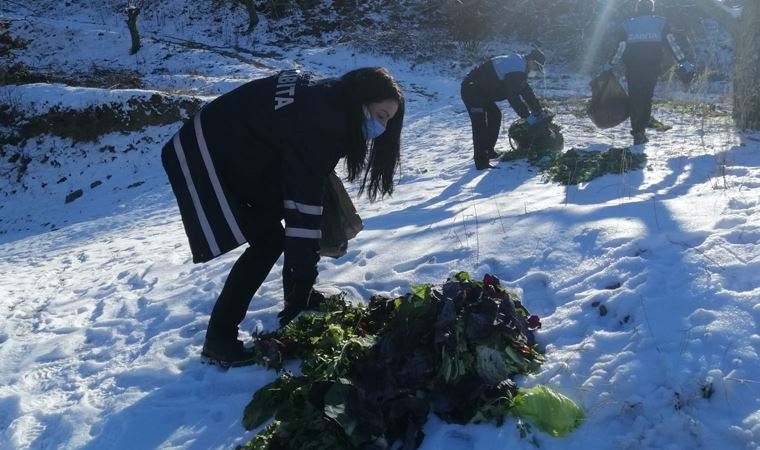 Alaşehir'de pazarlardan toplanan sebzeler yaban hayvanları için doğaya bırakıldı