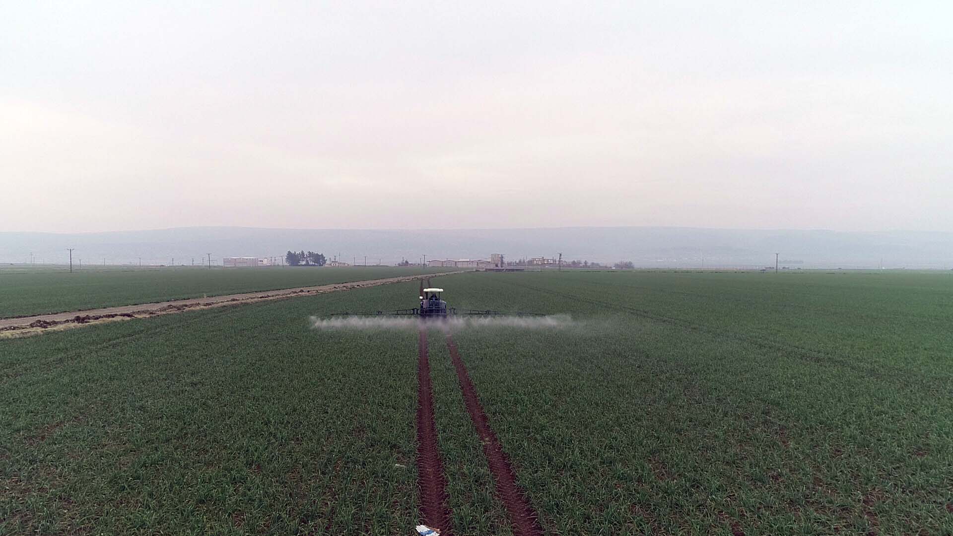 Gaziantep, sarımsağı ile de ön plana çıkacak