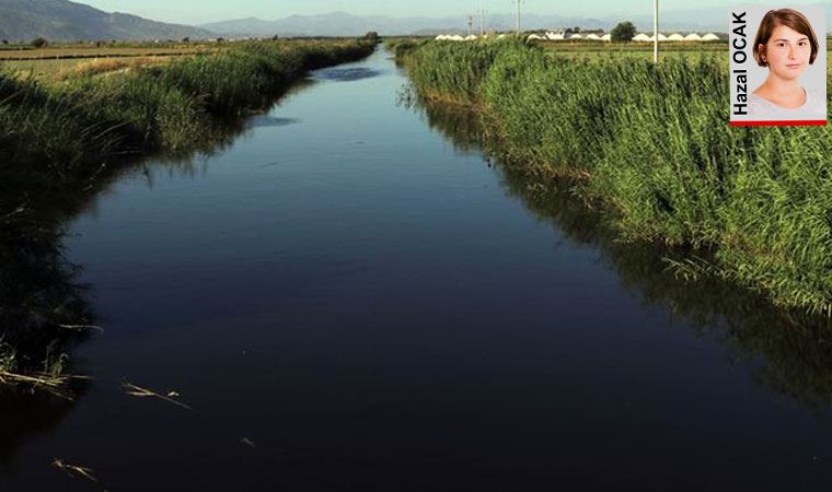 WWF dünyayı bekleyen kuraklık riskine dikkat çekerek uyardı