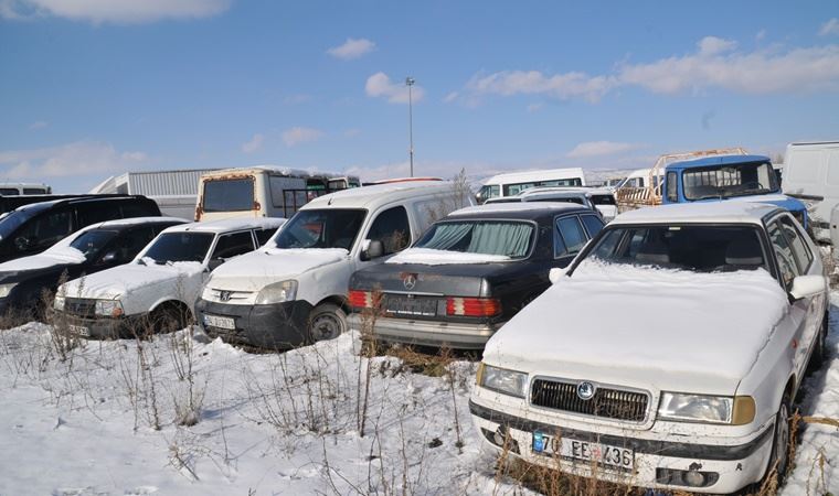 Piyasa değeri milyonları buluyor:  Çürümeye terk edildi