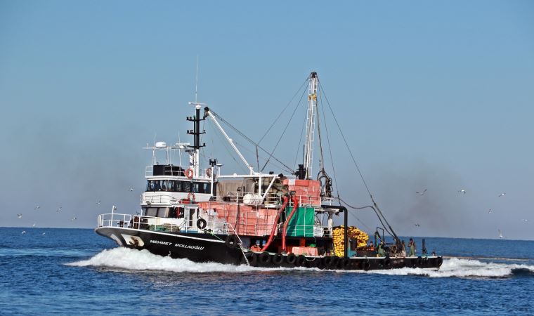 Karadeniz'de hamsi avına 'kota' önerisi