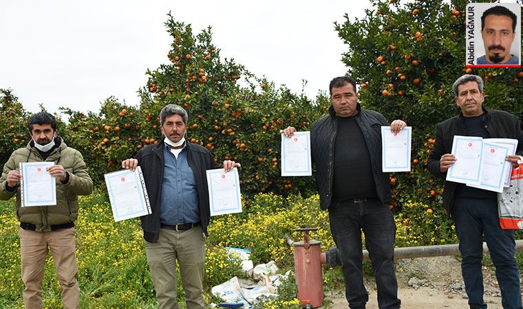 30 bin narenciye ağacının olduğu bölge, sanayi sitesi için kamulaştırılacak. Çiftçi isyanda: Bizi heder edecekler