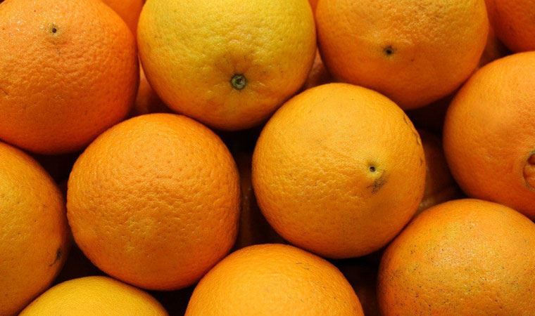 4 kişi ek bagaj ücreti ödememek için 30 kilogram portakal yedi