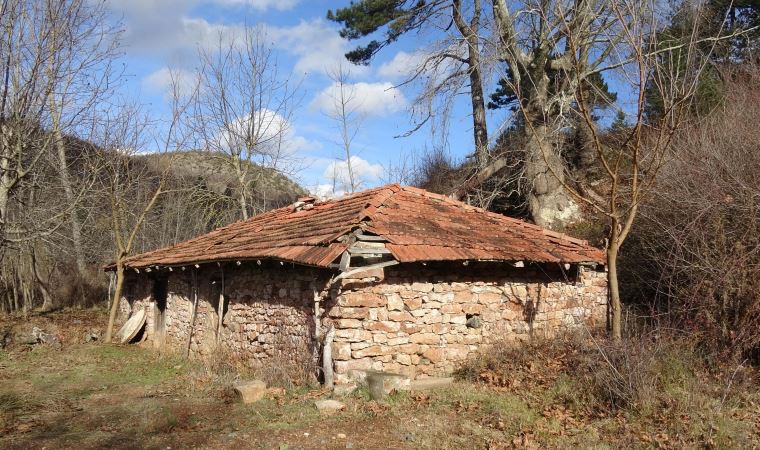 Balıkesir'de 400 yıllık su değirmeni kuraklık nedeniyle durdu