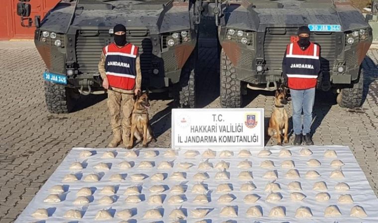 Hakkari'de jandarma operasyonunda 48 kilo eroin ele geçirildi