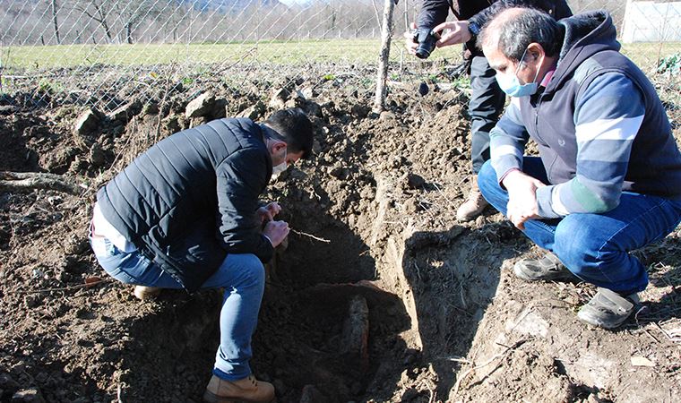 Ağaç dikmek için kazılan bahçede kerpiç yapılar ortaya çıktı