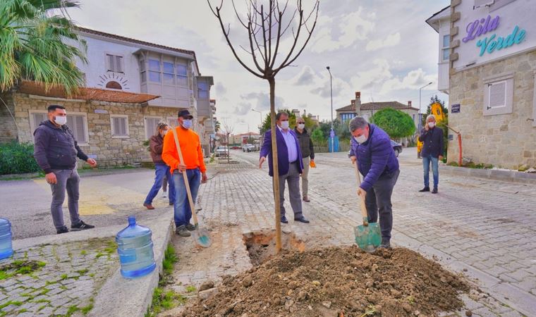 “Sevdamız daha yeşil Çeşme”