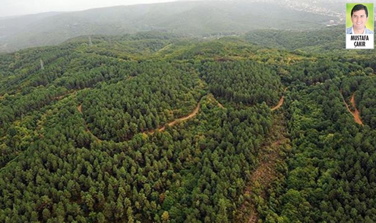 Koza firmasına, Kırşehir’deki altın arama faaliyetleri için ÇED istisnası tanınmış