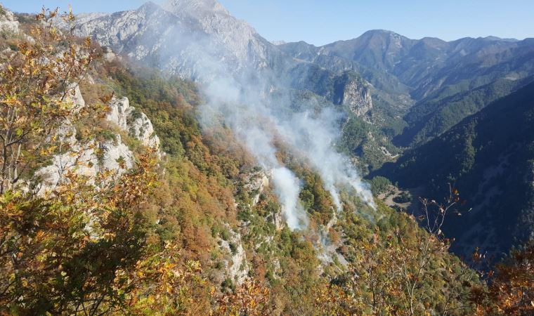 Osmaniye’de orman yangını