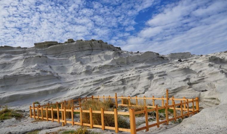 Çeşme’de kum zambakları koruma altına alındı