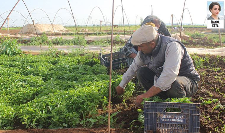 Belediye başkanları, tarım gündemine dair açıklamalarda bulundu (04.10.2021)