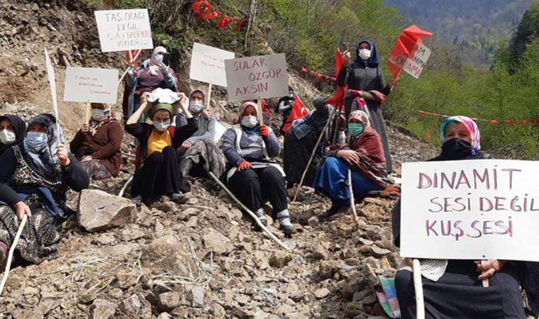 Direnen İkizdereliler hakkında karar