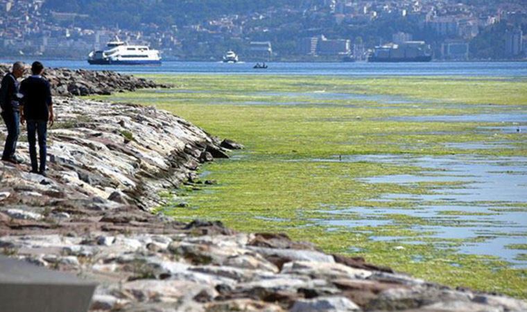 İzmir Karşıyaka'da deniz yeşile büründü