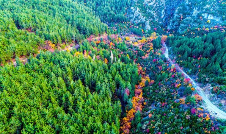 Spil Dağı'ndan sonbahar manzaraları