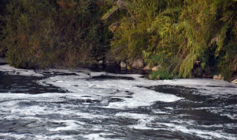 Ceyhan Nehri'nde tedirgin eden görüntü