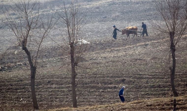 Kuzey Kore’de 'birçok insan kış aylarında açlıktan ölebilir'