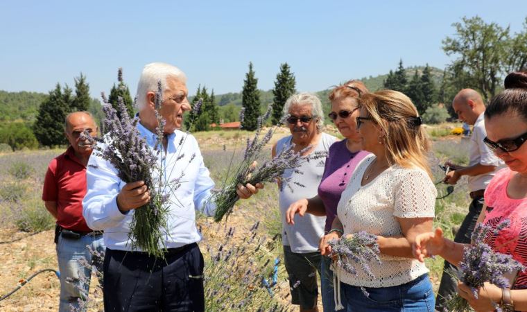 Muğla'da kadın üreticilere 97 bin tıbbi aromatik fidanı dağıtıldı