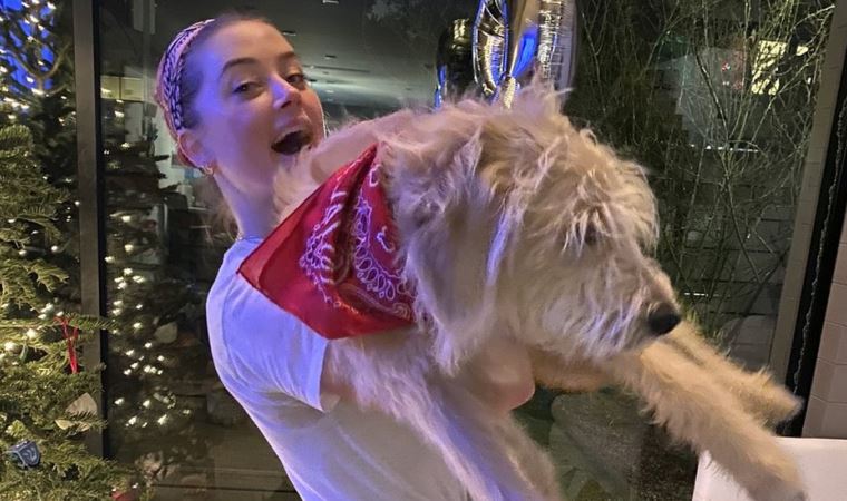 Amber Heard, yeni köpeğine tartıştığı Avustralyalı siyasetçinin ismini verdi