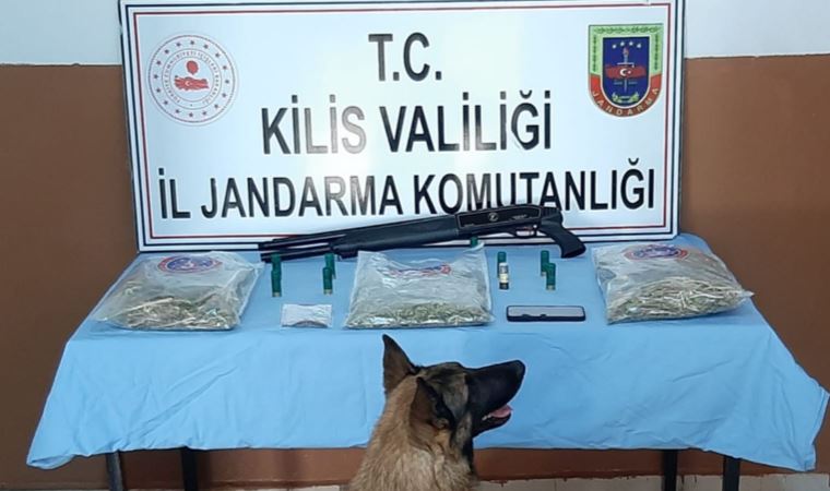 Kilis'te yasadışı kenevir eken 3 kişi yakalandı