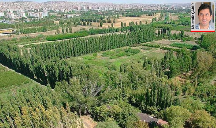 Foça Tatil Köyü yine ihaleye çıktı. AOÇ arazileri ise 10 yıllığına kiraya verilecek