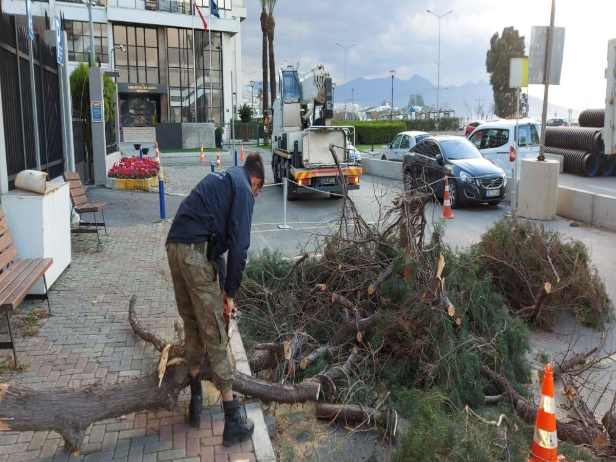 İzmir'i fırına vurdu: Çatılar uçtu, ağaçlar devrildi, iskeleler hasar gördü