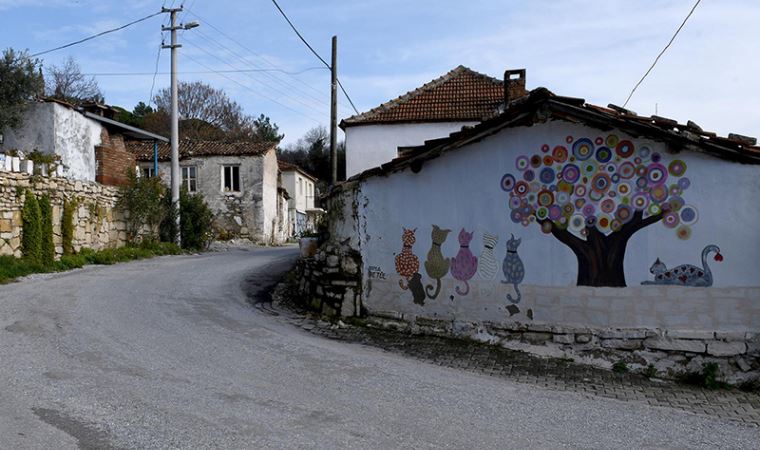 Caferli'nin özgün mimarisi korunacak